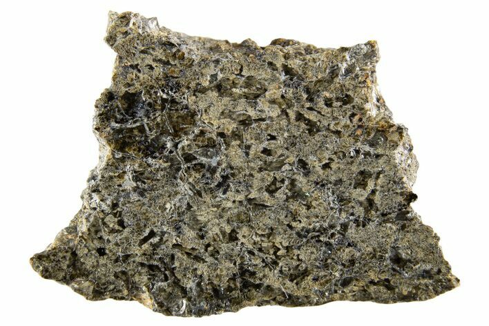 Martian Shergottite Meteorite ( g) Slice - NWA #335328